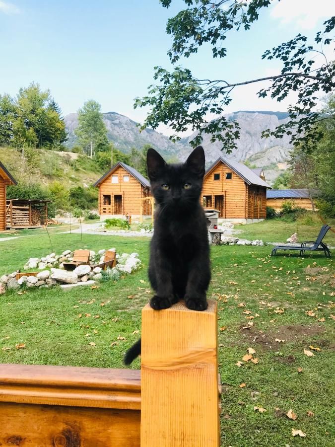 Дома для отпуска Camp Lipovo Lipovo